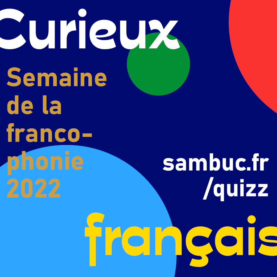 (Image de l'article n°152 : Image de l'article `Quizz « Curieux français » 2022`)