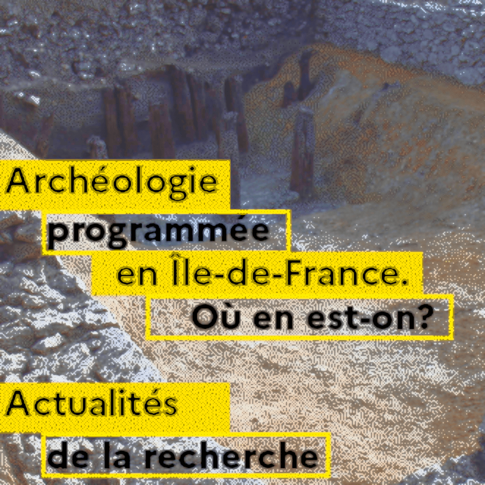 (Image de l'article n°203 : Image de l'article `Journées archéologiques d’Île-de-France 2022`)