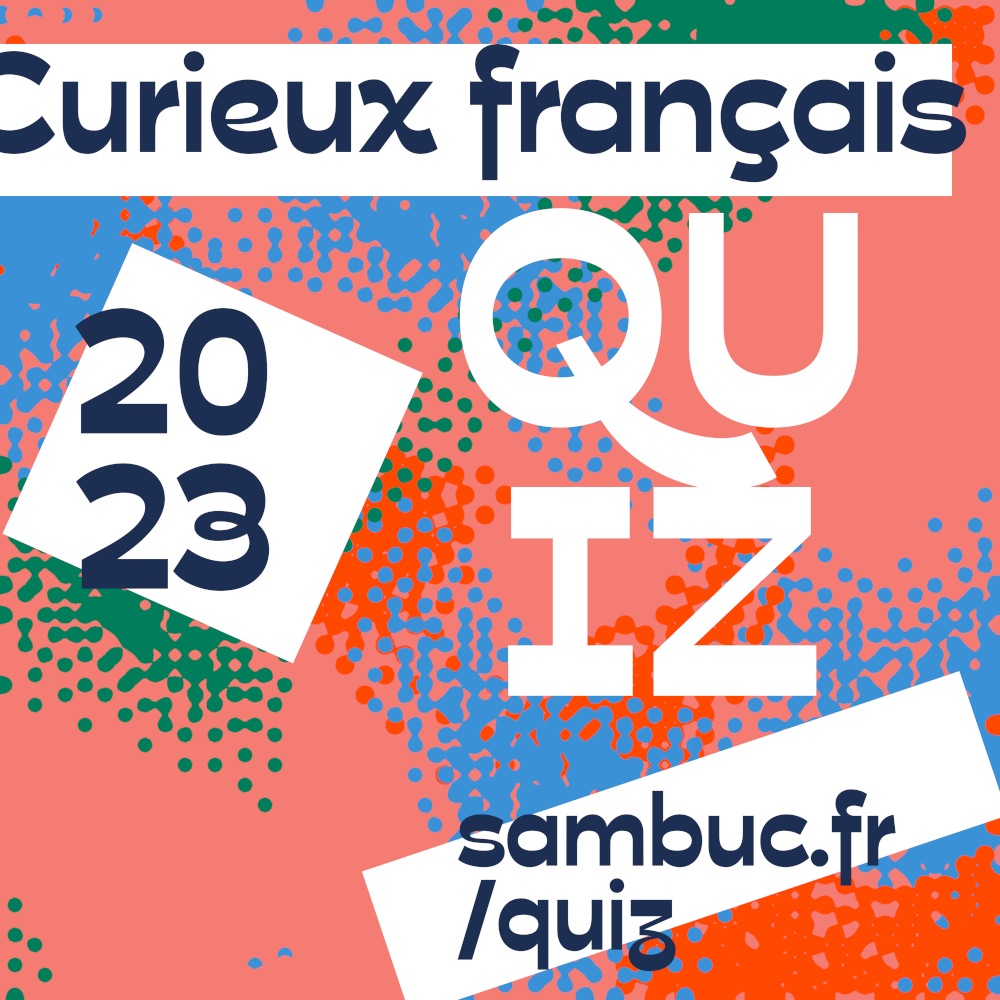 (Image de l'article n°249 : Image de l'article `Quiz Curieux français 2023`)