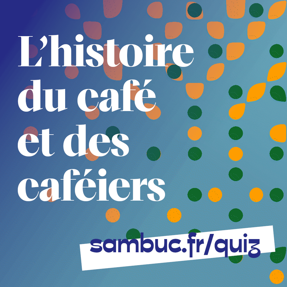 L’histoire du café et des caféiers / février 2025