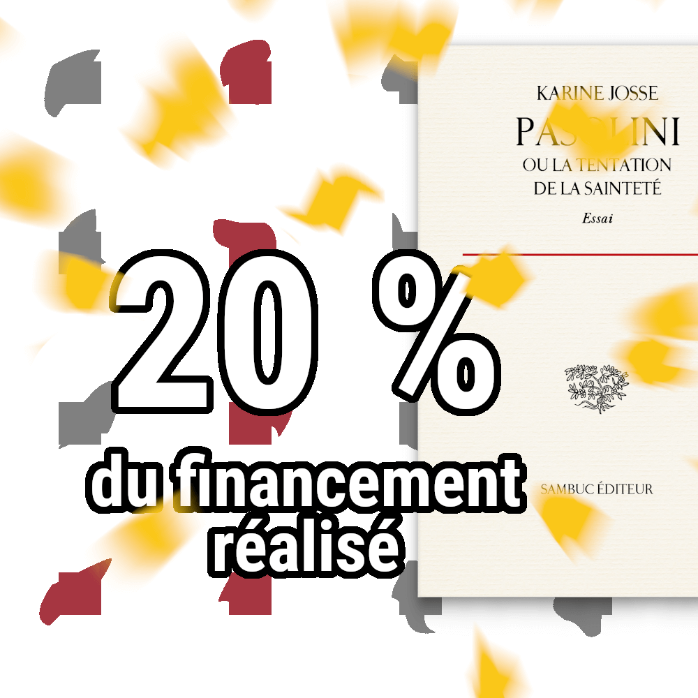 Vingt pourcents du financement déjà assurés (12 août 2025)