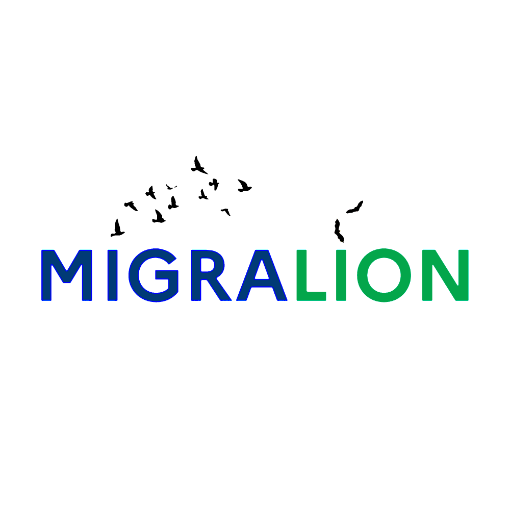 Image de l'article `Golfe du Lion : une étude révèle les risques des éoliennes en mer pour les oiseaux migrateurs`