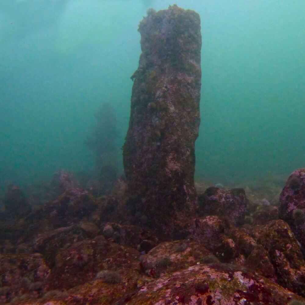 Aperçu d'un monolithe du mur immergé