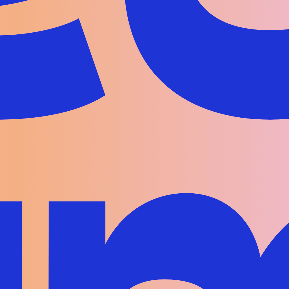 Image de l'article `Décembre 2025 : vingt-deux librairies rejoignent l’annuaire Sambuc`