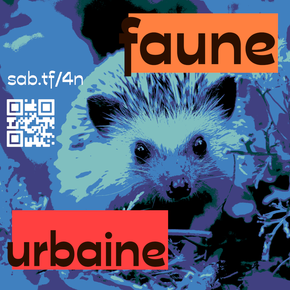 Image de l'article `Les éditions Sambuc explorent la faune urbaine pour les Nuits de la lecture 2026`